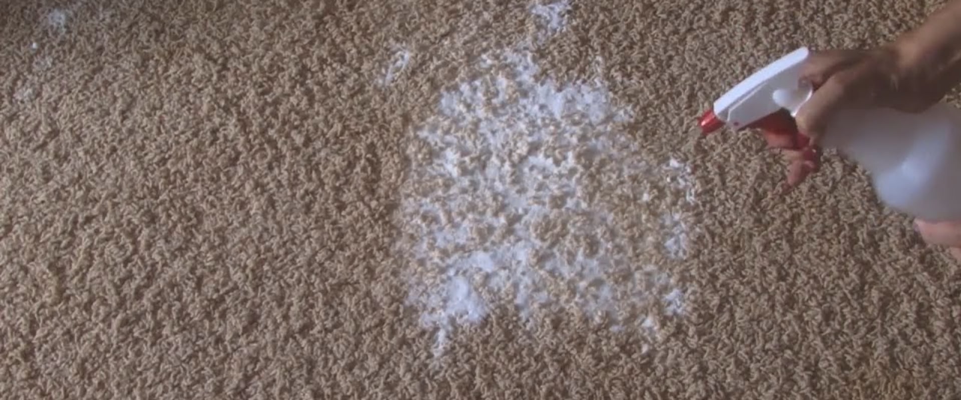 Best Ways to Clean Carpet Naturally