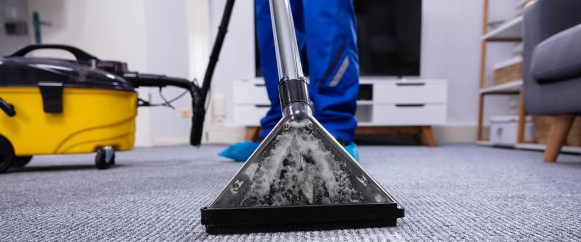 What do professional carpet cleaners use to clean carpets?