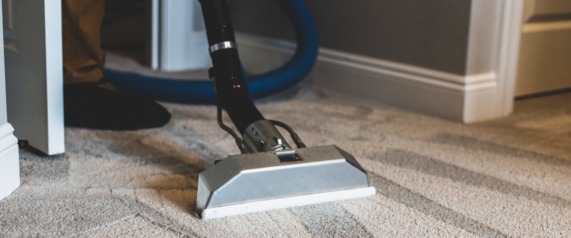 Does professional carpet cleaning get rid of pet urine?