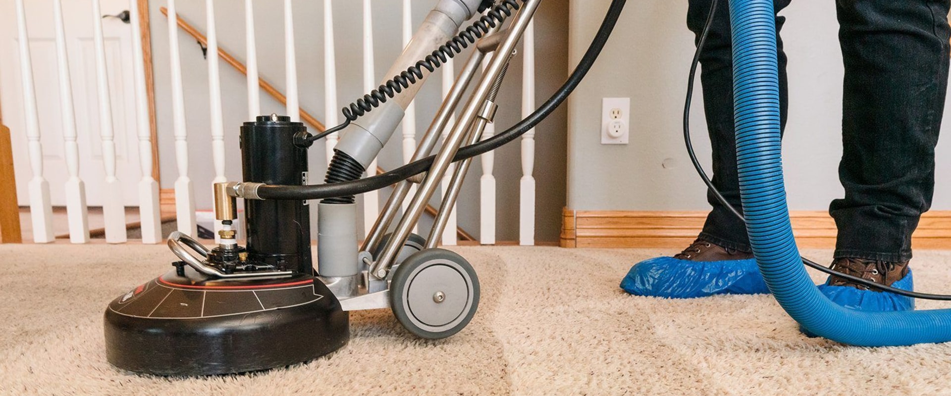Does professional carpet cleaning get rid of cat urine?