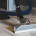 Can professional carpet cleaners remove dog urine?