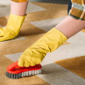 Can professional carpet cleaners remove paint?