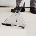 Does professional carpet cleaning remove pet odor?