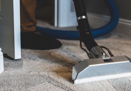 Can professional carpet cleaners remove dog urine?