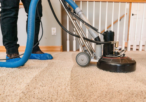 Does professional carpet cleaning get rid of cat urine?